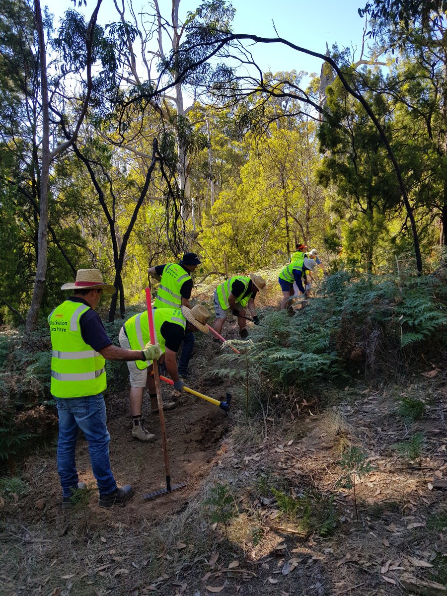 BarenbrugAUS's tweet photo. The @BarenbrugAUS Adelaide team got out of the office & into nature with this year's #HelpingWithHands initiative at Lenswood at Malcolm Wicks Reserve. Our small but mighty team led by @nationaltrustsa cleared 250m of walking trails despite the hot day. #Volunteering @VSA_NT https://t.co/ijKyT2308F