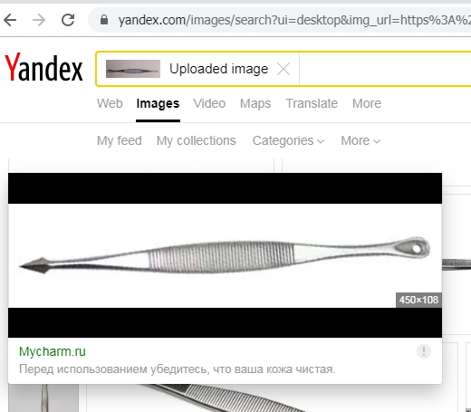 Evan Kale tweet media