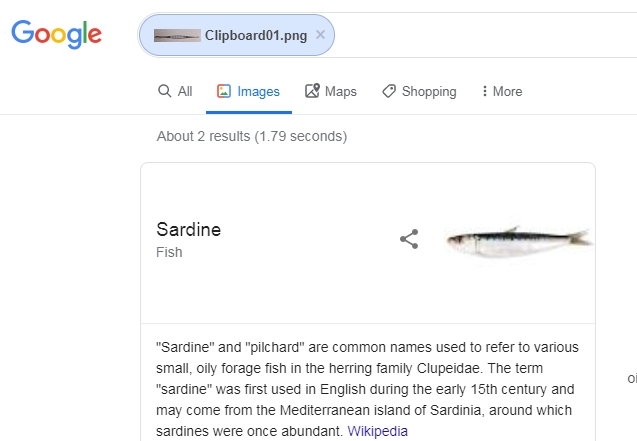 Evan Kale tweet media