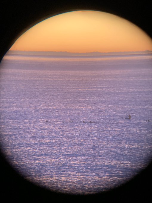 Swimmers in the dawn https://t.co/4nZVTGTIGd<a href="/tag/pov"class="tags"><span>#pov</span></a><a href="/tag/taboo"class="tags"><span>#taboo</span></a><a href="/tag/bigass"class="tags"><span>#bigass</span></a><a href="/tag/amateur"class="tags"><span>#amateur</span></a><a href="/tag/cuminmouth"class="tags"><span>#cuminmouth</span></a>