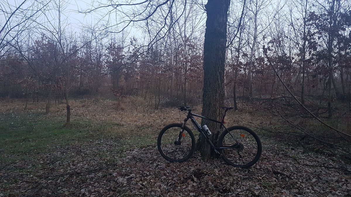 lesliestonecast's tweet photo. #dema #rockshox #sram #shimano #fsa #wtb #longus #cycle #cycling #cyclinglife #bicycle #bike #bikelove #bikeporn #ride #ridelife #freeride #mountainbiking #mtb #mtblove #mtblife #mtblifestyle #biketouring #nature #outdoors #forest #leaflitter #winter #hungary🇭🇺 https://t.co/ZVsLU7YSjP