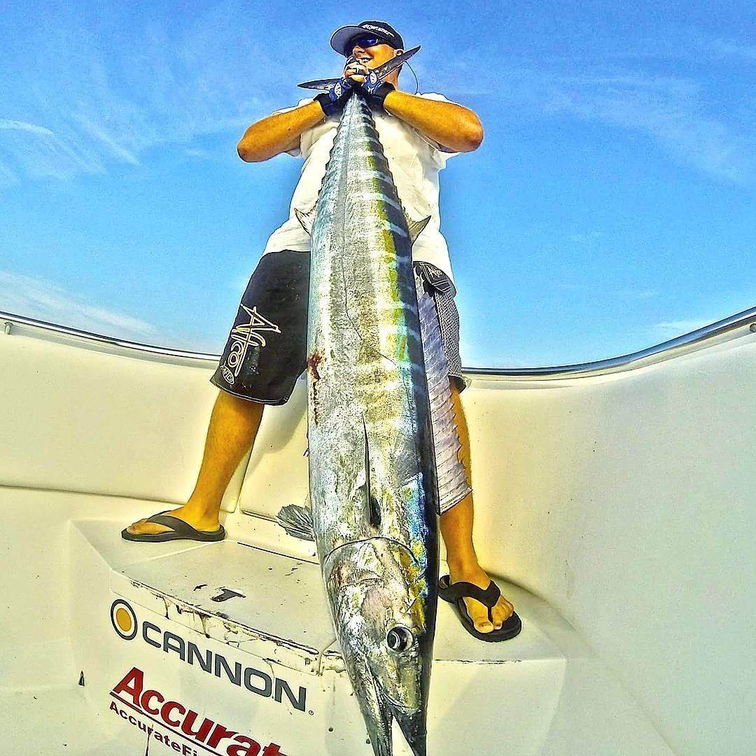 CannonFishing's tweet photo. Raise up and celebrate Wahoo Wednesday with us! #wahoo #wahoofishing #CannonDownriggers
📸 Cannon pro @fishliquidfire / Capt. Crockett https://t.co/l04AVxY6RL