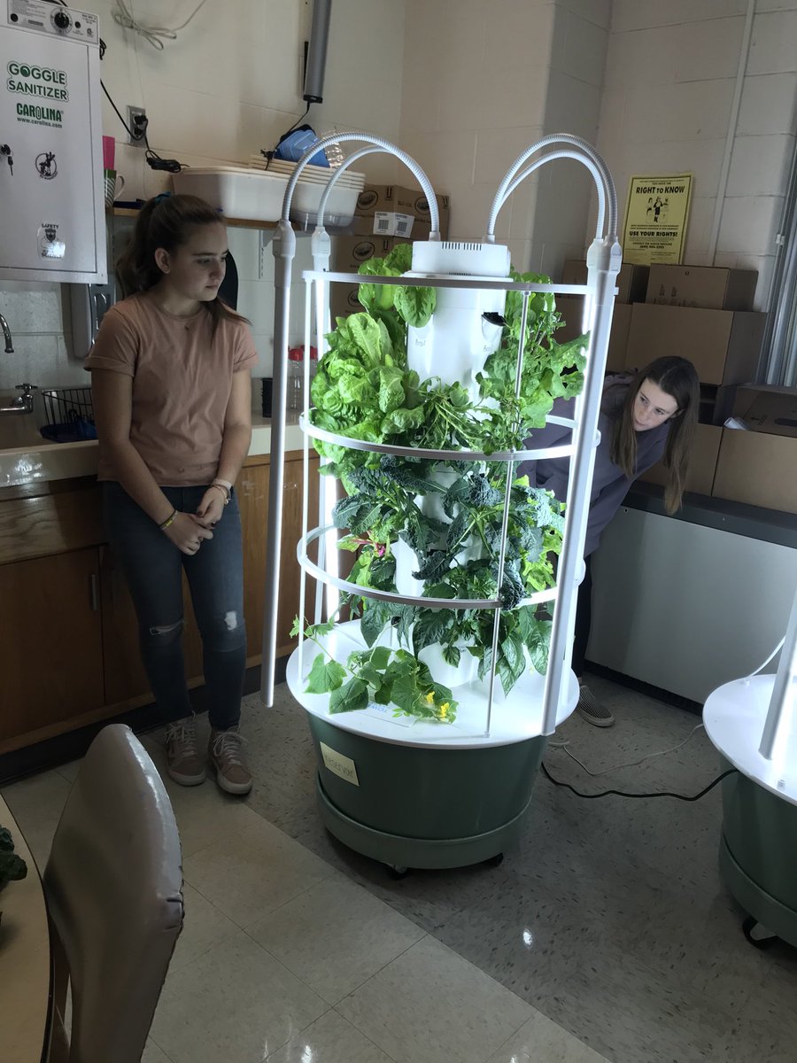 sciencetchr5/6 tweet media