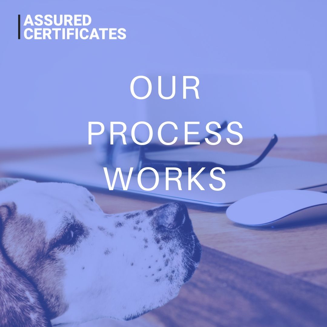 assuredcerts's tweet photo. We have worked with several risk managers to ensure our processes work – saving time and money for all participants in the certificate collection process.
#RiskManagement #Insurance #COI #InsurTech #CertTracking https://t.co/GuH8UuhCyN