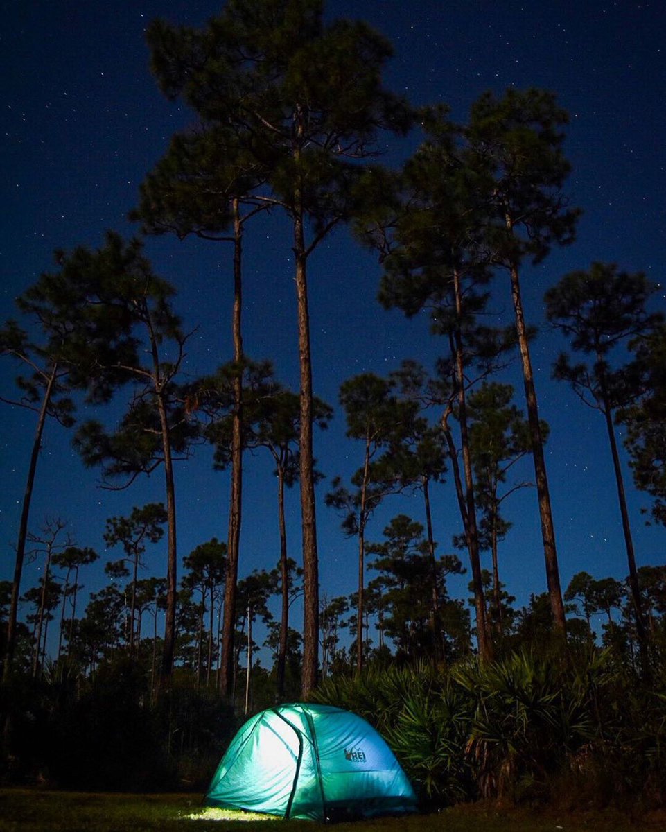 flwildcorridor's tweet photo. Tis’ the season for exploring wild Florida! ⛺️ #ExploretheCorridor #GetOutside #Repost @Photo by Bobby aka @natural_wanders

https://t.co/QZYsDtZUsP https://t.co/DcZosDXNuf