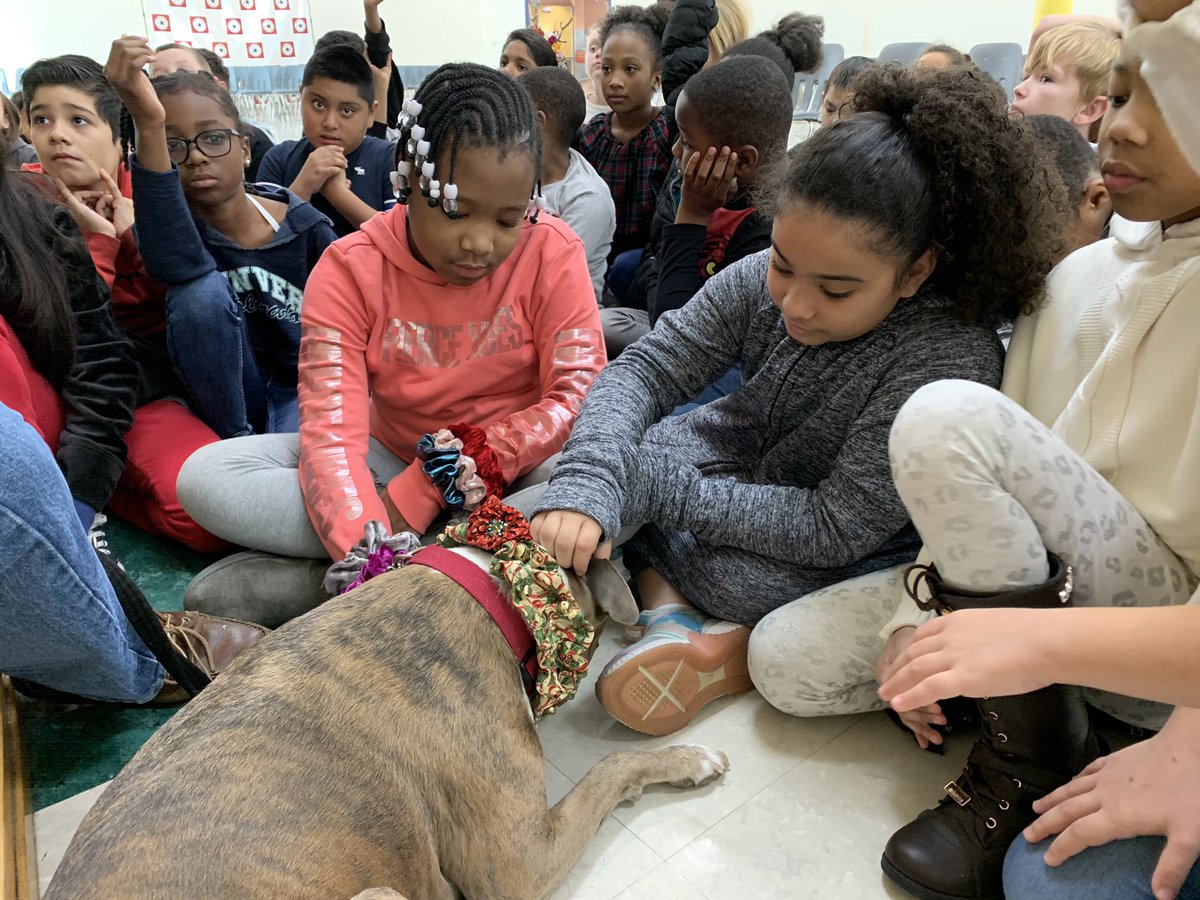 AngelCassetta's tweet photo. An awesome finale to our Service    Animal Performance Task. We had a visit from Gracie, a certified therapy dog and her human Steve. Lots of smiles and love! #wilburinspired https://t.co/JZPW7WaDy3