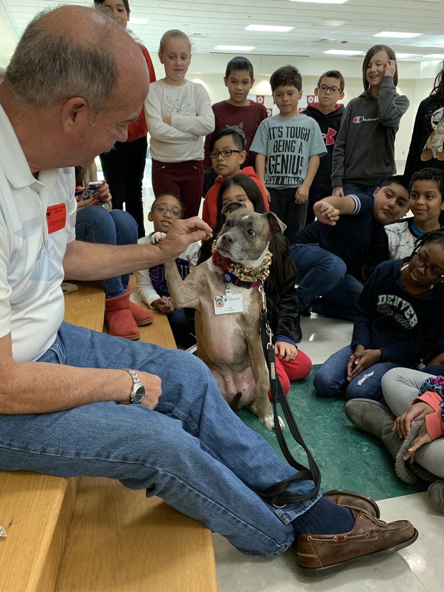 AngelCassetta's tweet photo. An awesome finale to our Service    Animal Performance Task. We had a visit from Gracie, a certified therapy dog and her human Steve. Lots of smiles and love! #wilburinspired https://t.co/JZPW7WaDy3