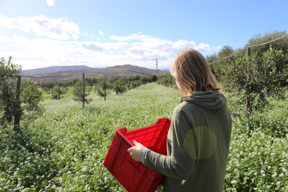 terraadopt's tweet photo. Can wild flowers be pretty even in the winter too? https://t.co/wJaYkWZ4cA

#adoptatree #tree #sustainable #trees #plantatree #climatechange #gogreen #ecofriendly
#present #gift #originalgift #handmade #xmasgift #christmasgift #christmaspresent #giftideas #ethicalgift #landscape https://t.co/GrvraCAakw