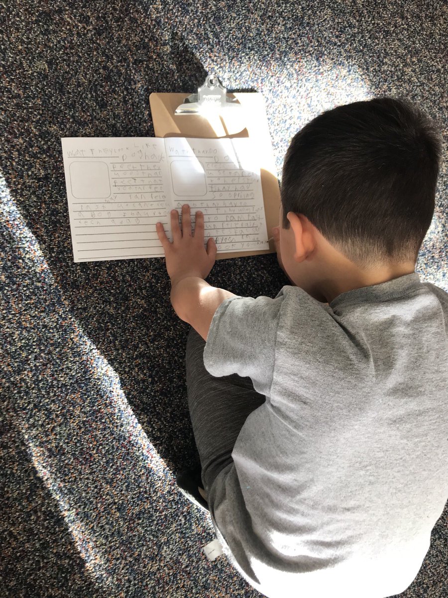 HeidiKimble3's tweet photo. Students are working hard on their informational writing pieces. #glcskellogg https://t.co/gsTklElMSa