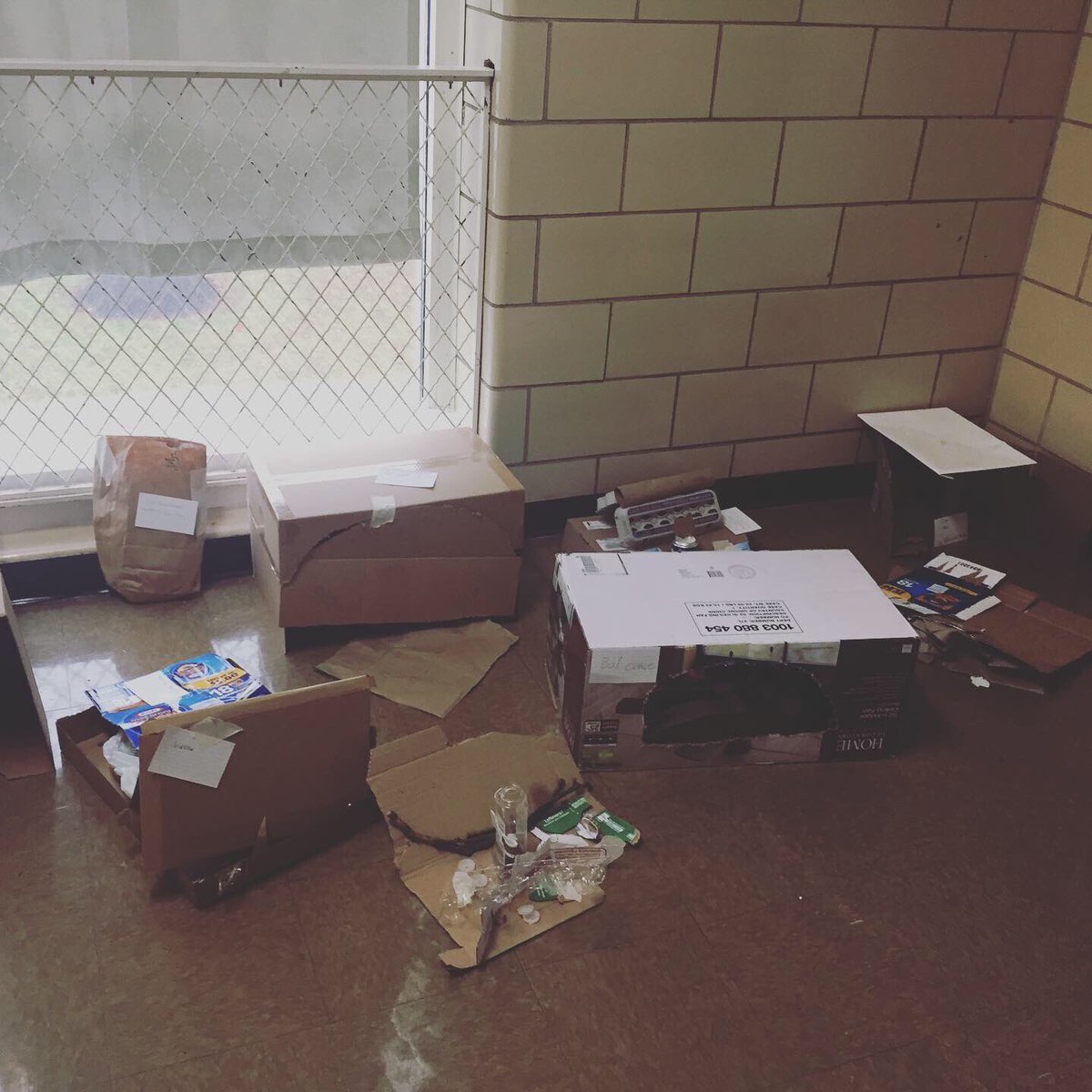 WatershedPCS's tweet photo. It’s #HibernationWeek at WPCS! 3rd Grade read to Kindergarten about hibernating animals and then the worked together to build dens for some of the animals from the recycled materials that 3rd grade has been collecting. #collaboration #weareallpartofthewatershed https://t.co/VkeoUUtKAr