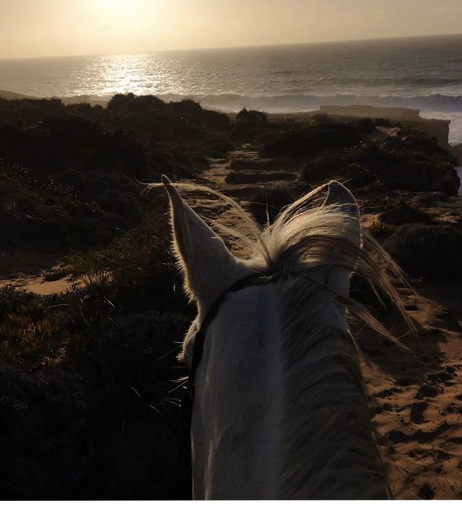 rideworldwide1's tweet photo. #RideWorldWideWishListWednesday - I wish I was where there are brighter sunny skies.... #alentejocoast #portugal #alentejo #ridingholiday #rideworldwide #bestridingholidaychoices
#reliableadvice
#ridingholidayexperts
#allthebestridingholidays https://t.co/Lr0aevKqVN