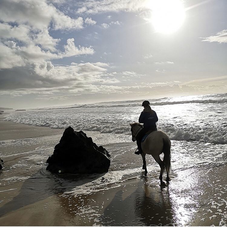 rideworldwide1's tweet photo. #RideWorldWideWishListWednesday - I wish I was where there are brighter sunny skies.... #alentejocoast #portugal #alentejo #ridingholiday #rideworldwide #bestridingholidaychoices
#reliableadvice
#ridingholidayexperts
#allthebestridingholidays https://t.co/Lr0aevKqVN