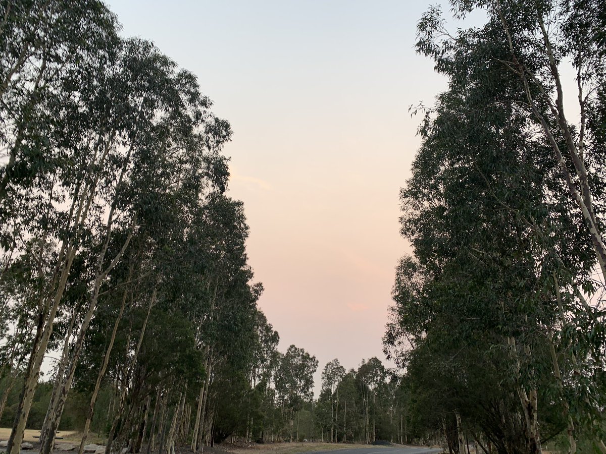 Nasreen_Kaadan's tweet photo. Day 353 #InLuCC2019 Run for #lungcancerawareness. Regardless of age, ethnicity, good or bad health habits, anyone can get #lungcancer. Please follow to the link in my bio to donate!
#LungCancerResearch
#FairGoForLungCancer
#FreeFromStigma #FFS
#NotAllCancerIsPink 
#beatcancer https://t.co/mnnAcfMPhL