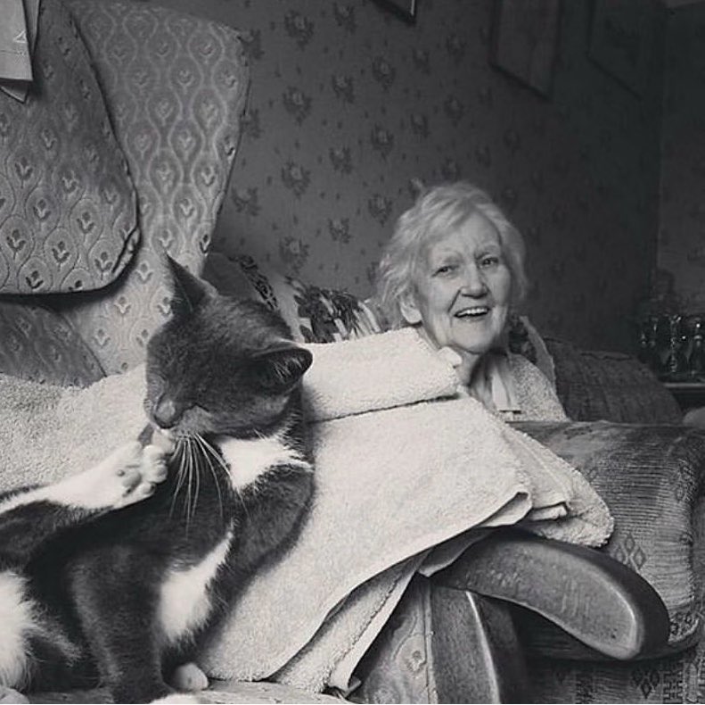 katewdf's tweet photo. Can’t believe I lost my icon today. Love u more than you’ll ever know 🖤 https://t.co/qpkE1DoJVd