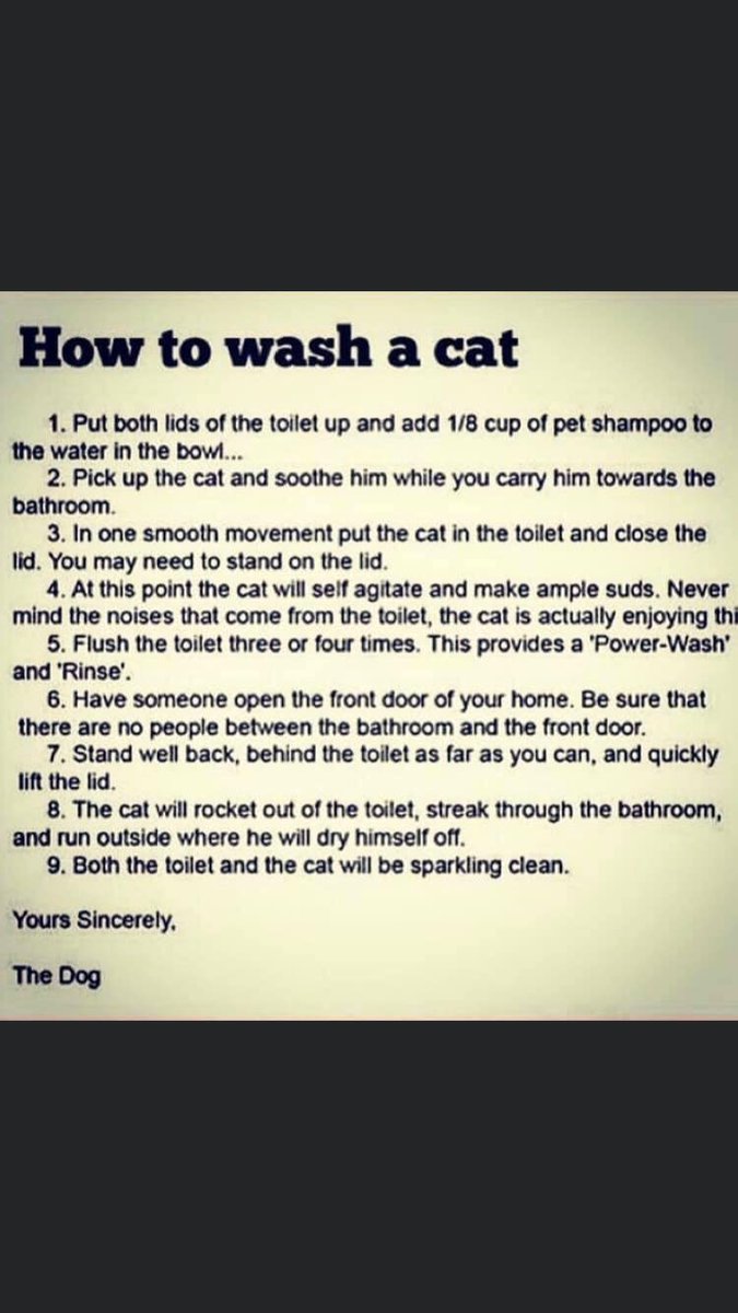 SaintSchrute's tweet photo. ⁦👀 ⁦@laurfizzle⁩ Francis would love a bath 😹 https://t.co/srADBkMs0L