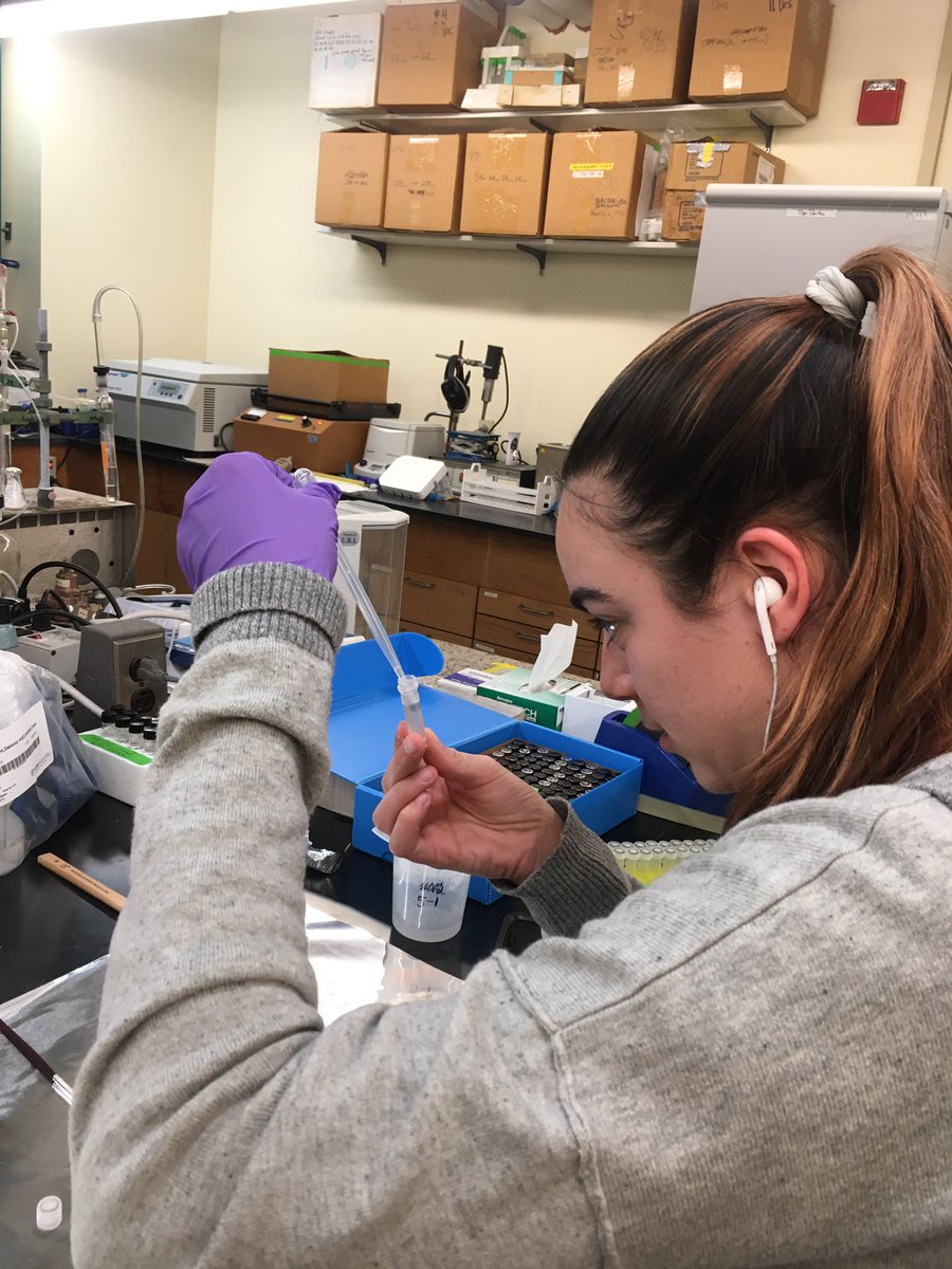 RSRobinsonG's tweet photo. The semester is over so @BasiaLikesRocks is down to business cleaning forams! @URIGSO #IODP361 https://t.co/trjM713Ydm