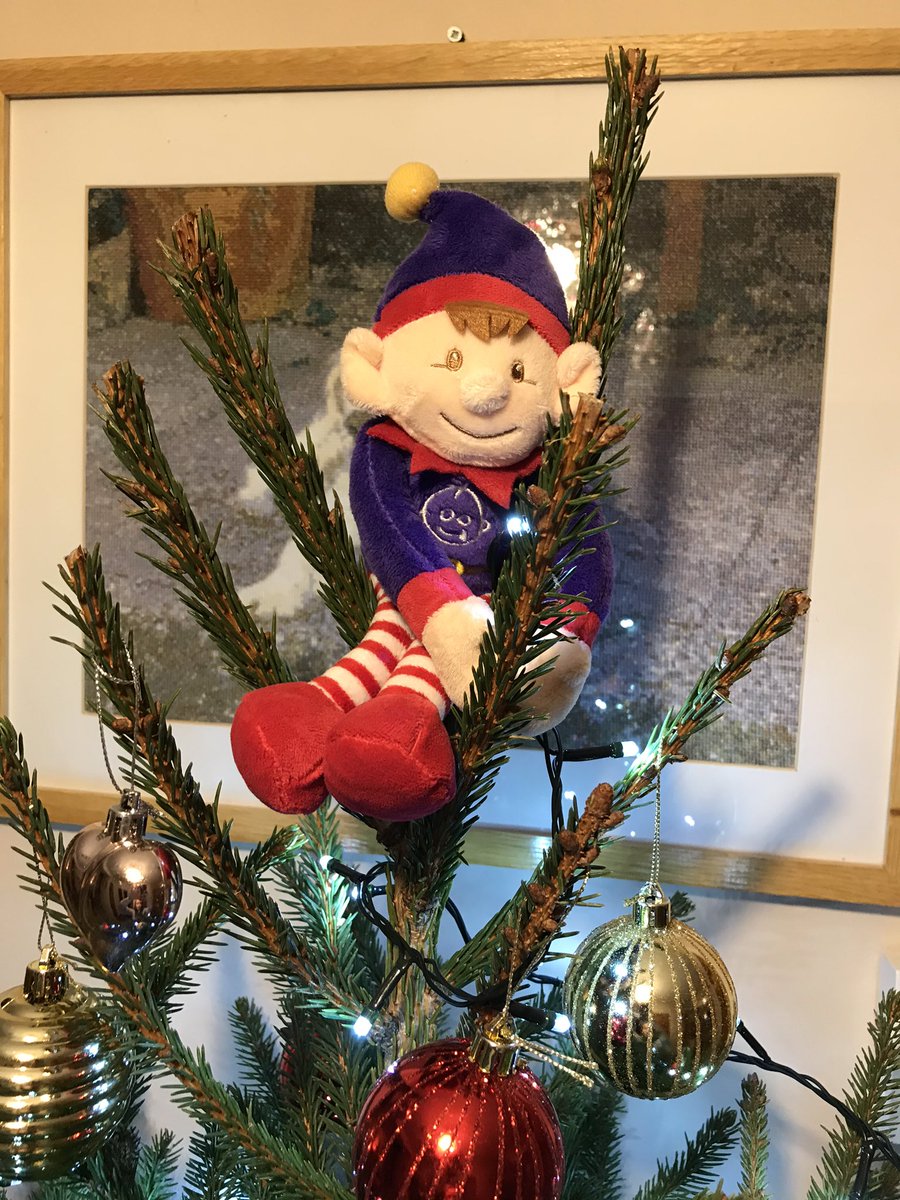 Caroline_Lell's tweet photo. Our cheeky #goshelf has taken pride of place at the top of our tree 🌟 @GOSHCharity https://t.co/53zew7Cjvt