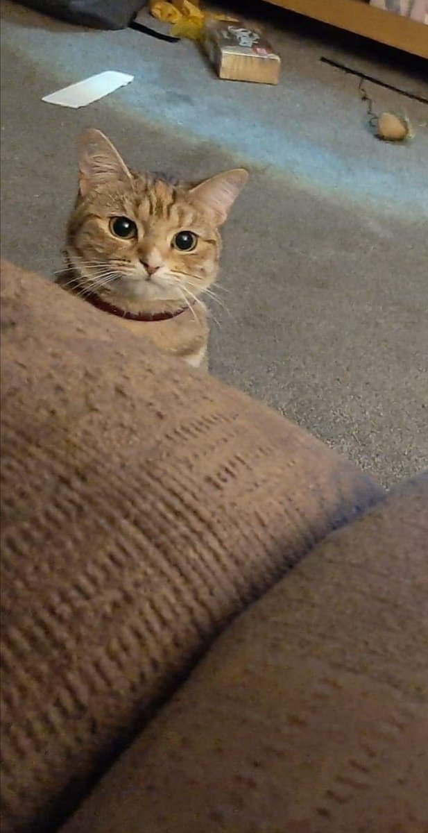helo
