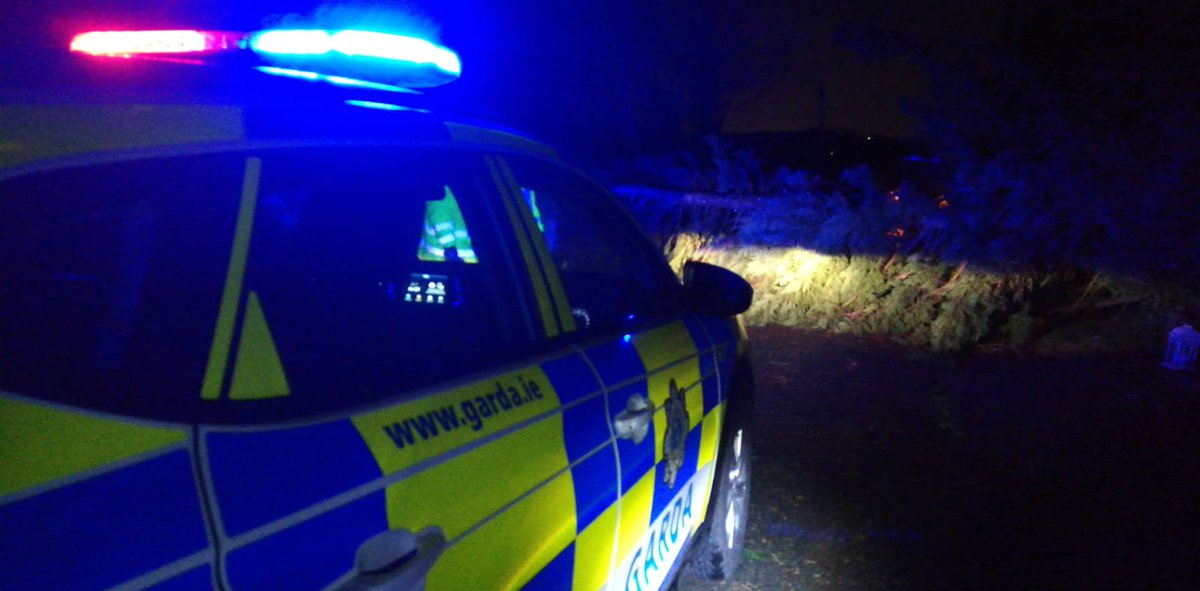 GardaTraffic's tweet photo. Naas Roads Policing Unit dealing with a number of trees down across some roads in Co Kildare tonight due to high winds.
Please exercise extreme caution when driving tonight. https://t.co/Eglk3WJdJH