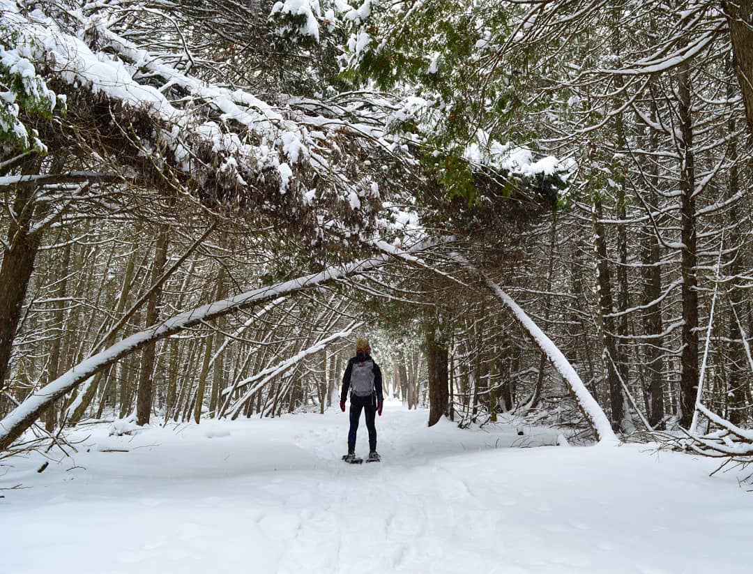 Have you been to the #Mountsberg Conservation Area in Halton, Ontario? Not only do they offer outdoor activities year-round, they also provide daily public education programs that inform visitors about their important conservation efforts.
📷Trailsandbetas/IG