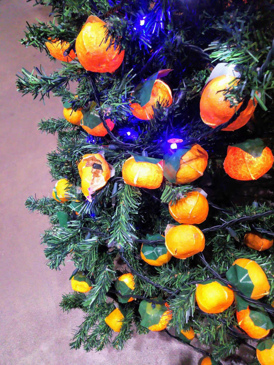 片山 均 八幡浜の三瀬医院 On Twitter おはようございます Jr八幡浜駅に飾られたみかんのクリスマスツリー 電飾に本物のみかん の皮 が使われている 愛媛 みかん クリスマスツリー おは戦r1219dm