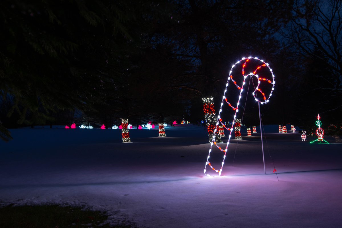 LightsRoc's tweet photo. ROC Lights at Victor Hills is not just a drive thru light show - we also offer a variety of fun holiday activities for family and friends! https://t.co/UVjCFoJq3b #ROClights #victorhills #drivethrulightshow #drivethruchrismaslights #holidaylightshow #holidaylightdisplay https://t.co/sJZpyXS2bu