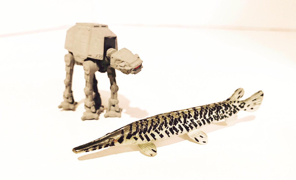 alligator gar toy