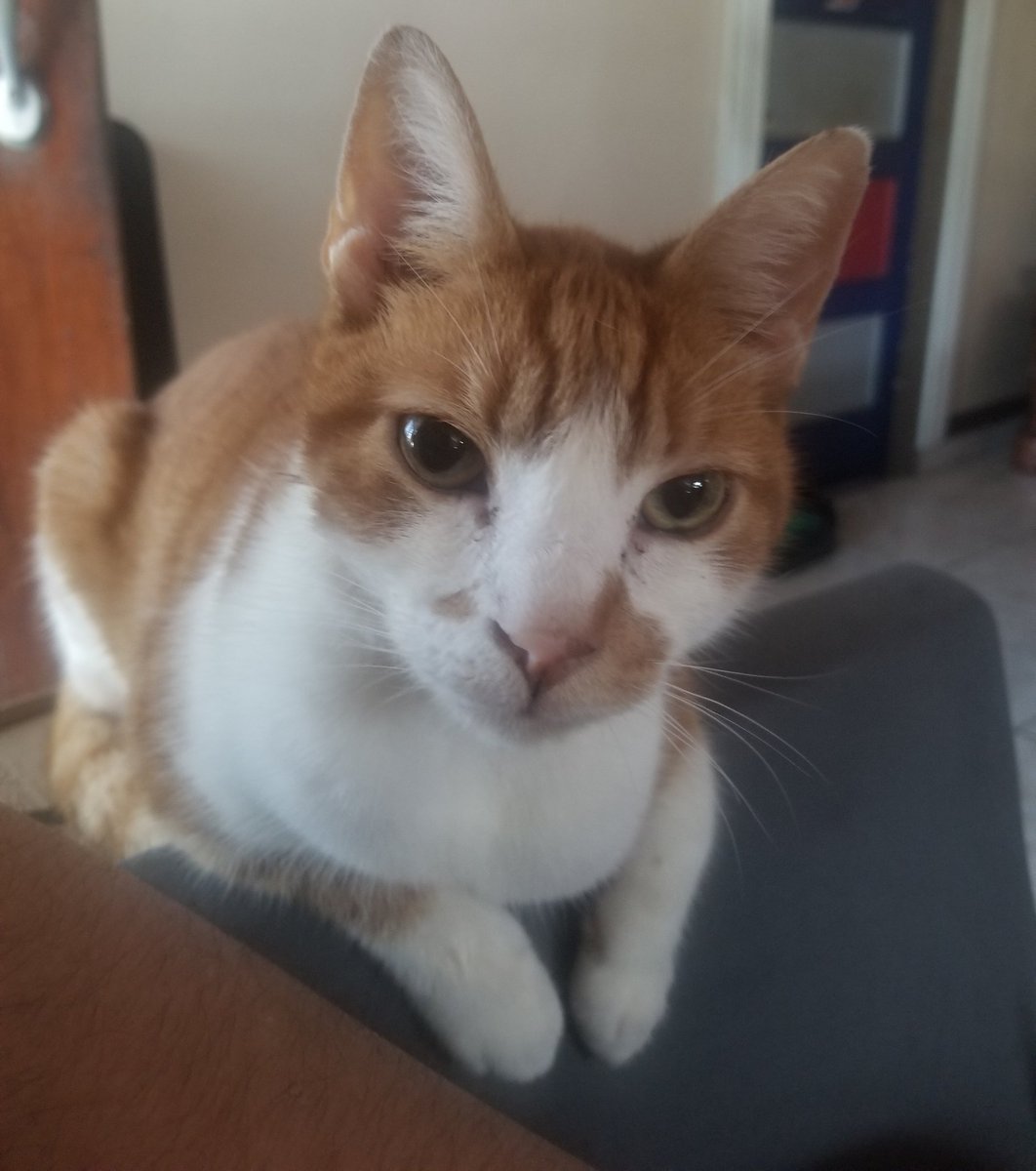 cloud 🧡 𓆝 𓆟 𓆞💙 tweet media