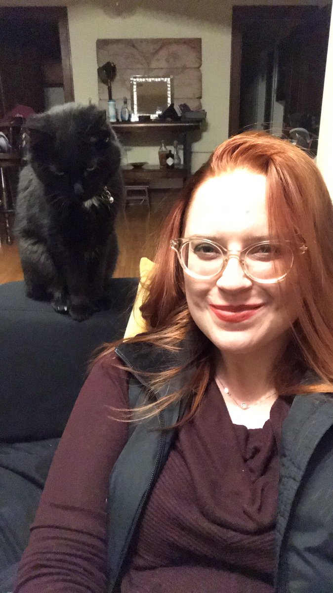 TicketyBooTrunk's tweet photo. Sometimes I remember I have a Twitter. Usually it’s because I want everyone to know how cute my cat is. https://t.co/BanvjY3Kau