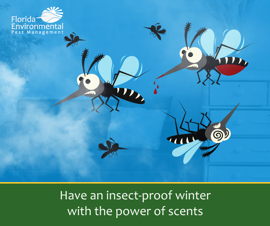 FLEnvironmental's tweet photo. #PestTip: Mosquitoes naturally have a very keen sense of smell because they use scents to hunt down their prey. This strong sense of smell, however, makes them easy to repel. Keep your home mosquito-free by spraying any of these scents: peppermint, lavender, and eucalyptus. https://t.co/DApXpSIzD2