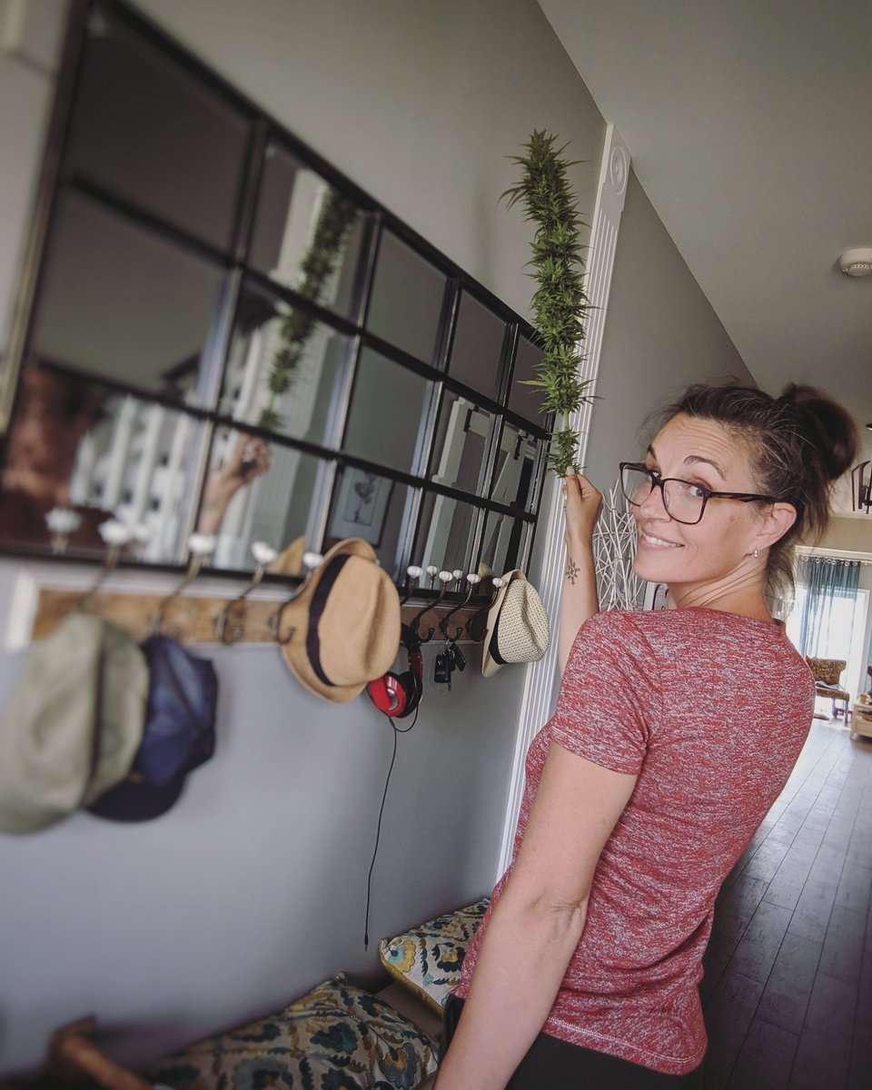 AGlibs's tweet photo. Not a fan of cleaning, unless there is cannabis involved!! Even dusting is #betterwithweed 😆 https://t.co/yu3SvE8Y4n
