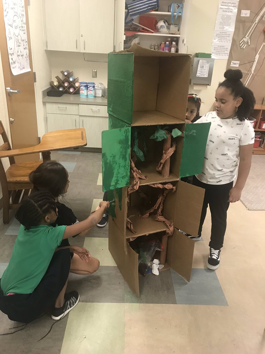 ReneeWestTCS's tweet image. Busy days researching, studying, and creating the rainforest... 

#earthstructure #watercycle #habitats #interdependence  #preservation #sustainability #plantmoretrees #reusereducerecycle