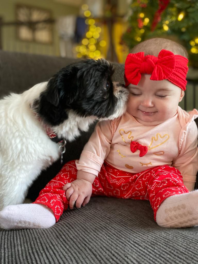 Nicole Vassos Hustej sends us today’s picture of the day, of Mase whispering what he wants for Christmas to his best friend Kalea, five-month-old granddaughter of Hugh and Bev Vassos.