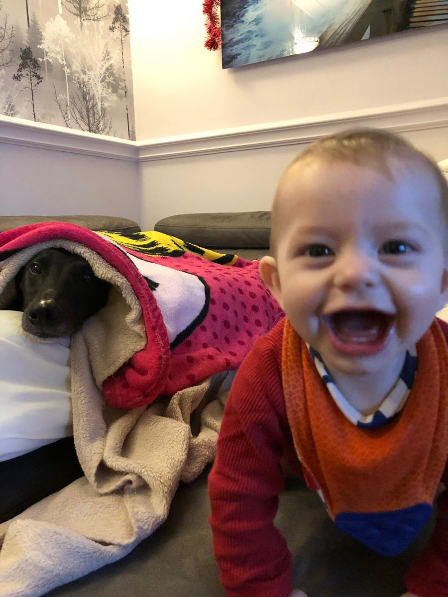 Ralphy_boy1's tweet photo. Chilling with my pet human https://t.co/X2DzXQsbr1