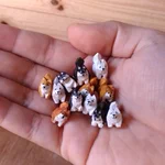 かわいい豆柴の木彫り作品。。１匹でもかわいいけど、たくさん集まるとさらにかわいい。