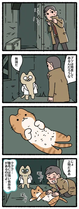 悪の秘密結社ネコ その10 #悪の秘密結社ネコ 