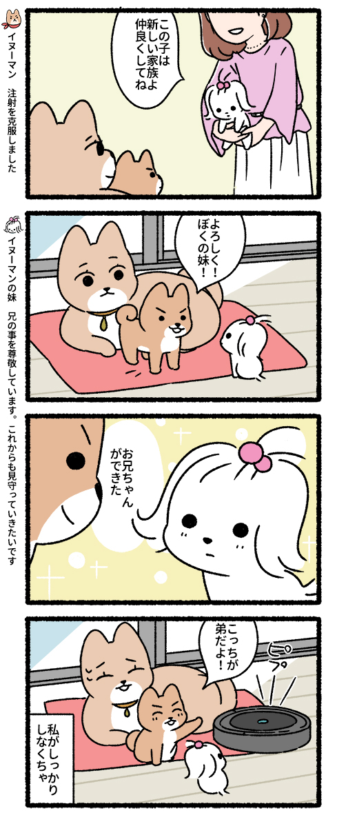 悪の秘密結社ネコ その10 #悪の秘密結社ネコ 