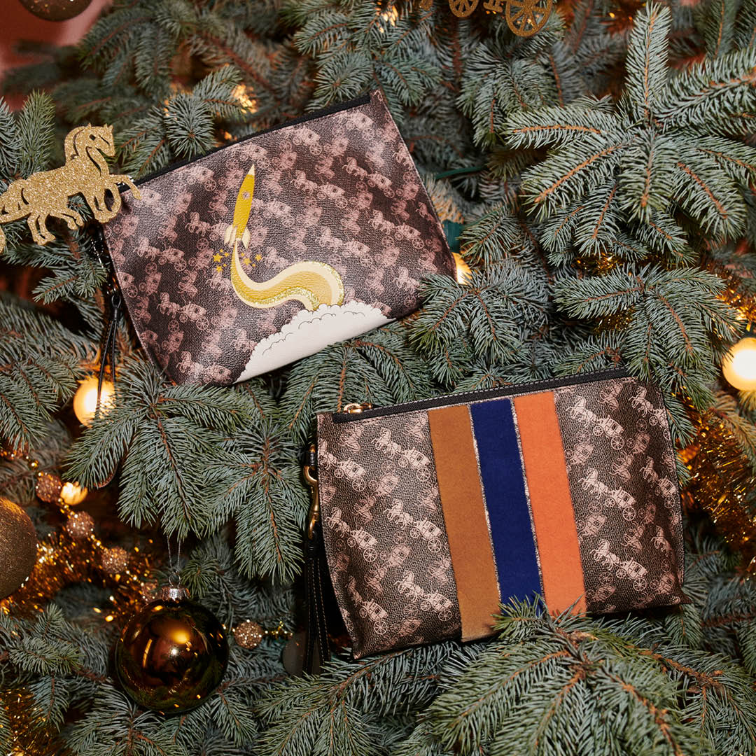 Coach's tweet photo. Our Horse and Carriage pouches get some extra kick with rocket power and varsity stripes. #WonderForAll https://t.co/pzxx37e2At #CoachNY https://t.co/qpMtVuYNbK