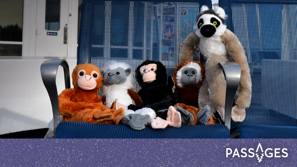 BCFerries's tweet photo. On the 6th day of Christmas #BCFerries gave to me: six stuffies for snuggling.
Enter to win the ultimate prize pack + free ferry travel! ‘Like’ or ‘retweet’ our #12DaysofPassages tweets until Dec. 24 for your chance to win. Learn more: https://t.co/SSd6VpKhN8 ^lm https://t.co/U6eP5e5rwn