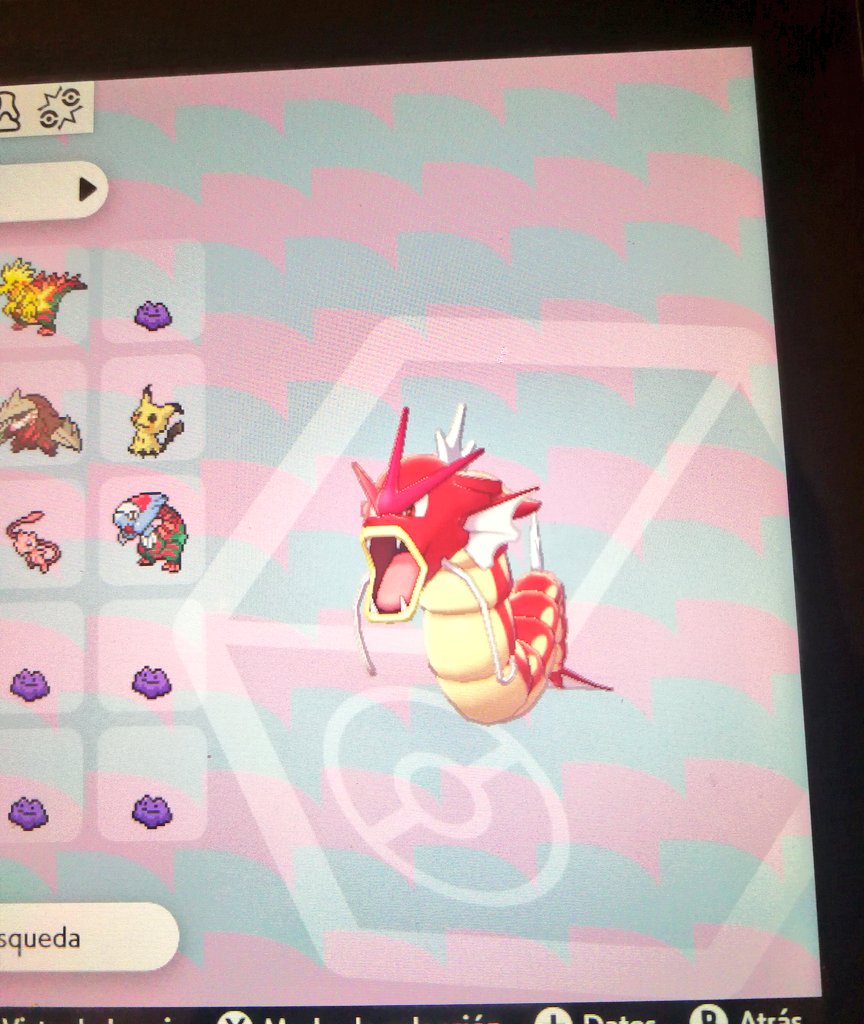 Redsfusion's tweet photo. Llega la gamba más roja del momento. 💧

✨ {RT para ganar un Gyarados shiny full ivs} ✨

Mañana por la noche, el ganador 🌗

¡Suerte a todos! 💜✨ https://t.co/YlmvSFaOLs