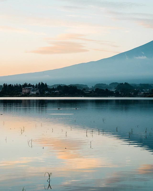 loganhpatton's tweet photo. Mt. Fuji was one landmark that I did not want to miss while in Japan. Jordan and I decided to take a ridiculously long and convoluted series of trains from Hiroshima to Fujikawaguchiko. ⁠⠀
⁠⠀
It was close to the end of the trip, and we were already e… https://t.co/M3MIQjHH5a https://t.co/AjtHmnNTee