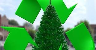 panoramanow's tweet photo. Help the #Environment - #Recycle Your Christmas #Tree #Valpo #PorterCounty #Compost #Recycling #SaveEnvironment #EnvironmentYou #Nature #Environmental Conservation #EnvironmentalImpact - PanoramaNOW Entertainment News https://t.co/ytw2xvD67Y https://t.co/2V6tezSq6m