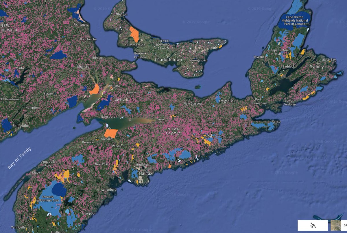 This Pink shading in this image depicts Tree Cover loss from 2001 to 2018. #novascotia #clearcuttingns #nspoli #nopipe 
Check for yourself globalforestwatch.org/map?mainMap=ey…