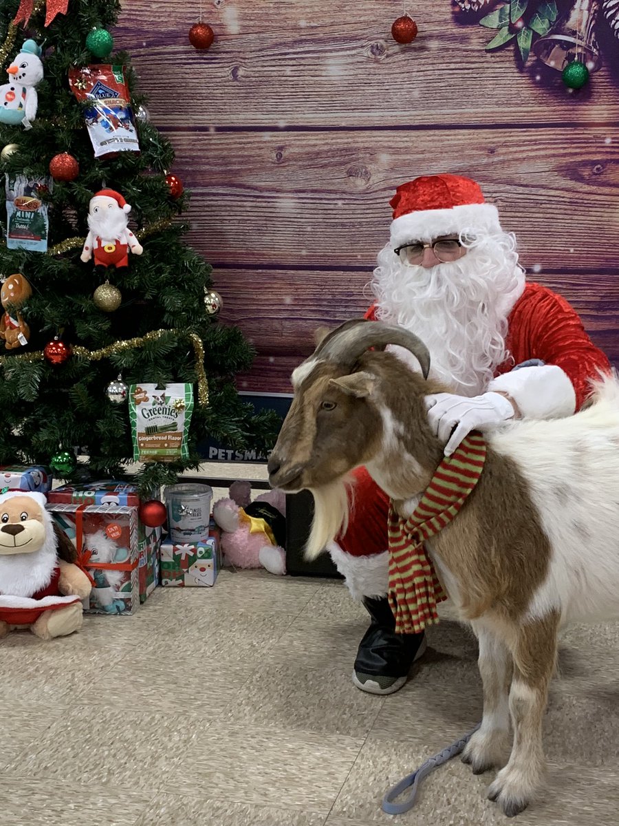 Petsmart 1642 tweet media