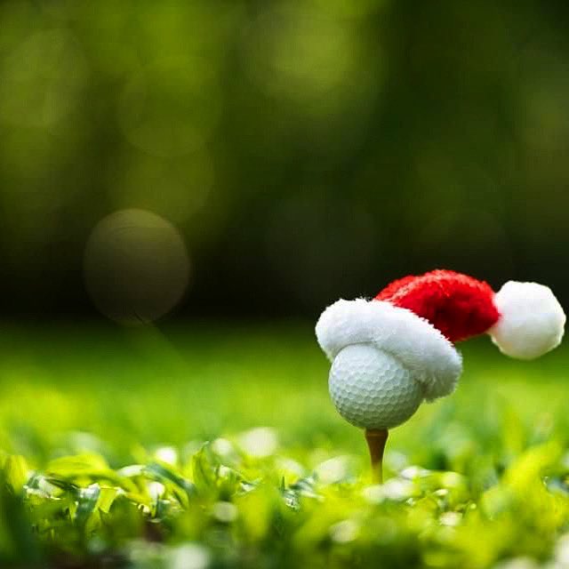 TheLomaClub's tweet photo. The holidays are here! 🎄⛳️⁣
⁣
Be sure to book your tee times &amp; check out our online calendar for an up to date list of course, patio, and venue closures. https://t.co/5DjTOxXCDM