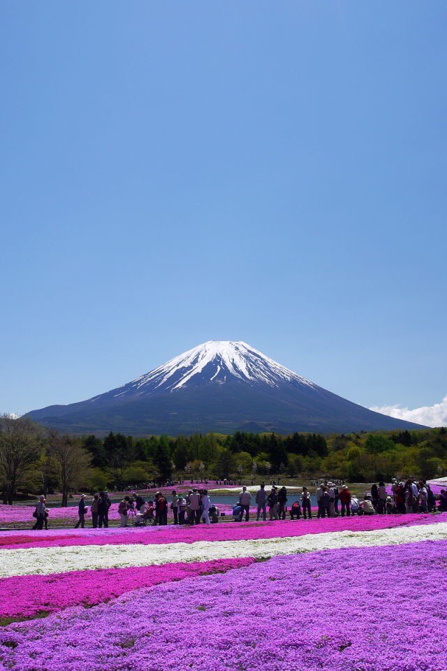 Japan Aesthetics tweet media