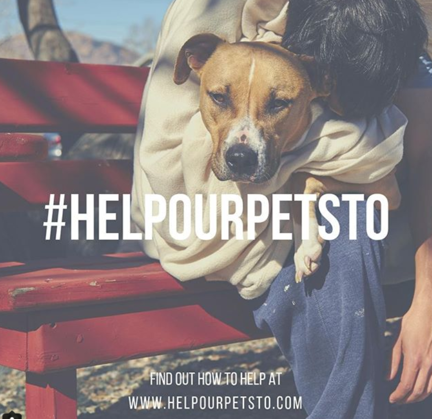 DrEllenKinzl's tweet photo. Don't forget: We're collecting supplies to help the pets of homeless people. Drop off your donation by Dec 31, or @simply_laundry will pick up blankets. @thinkhatchca will deliver the donations to @fredvictorcentre Respite Centre this winter. https://t.co/OKKCXAIa1w