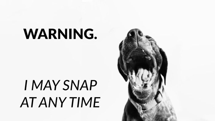 Sim_nell's tweet image. I’m a big fan of puns and bad dad jokes and these #photography jokes are the best! 😂 #Punny