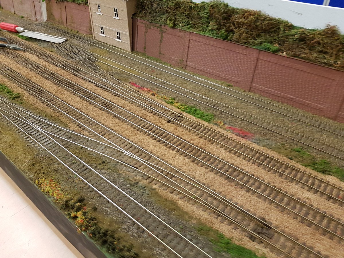 Carshalton & Sutton MRC #TMRGUK tweet media