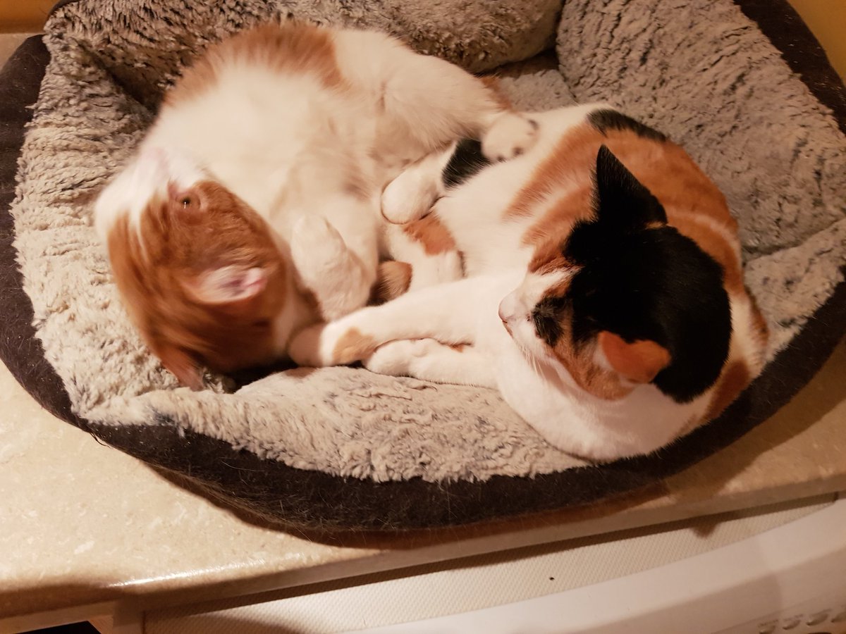 Happy Person tweet media